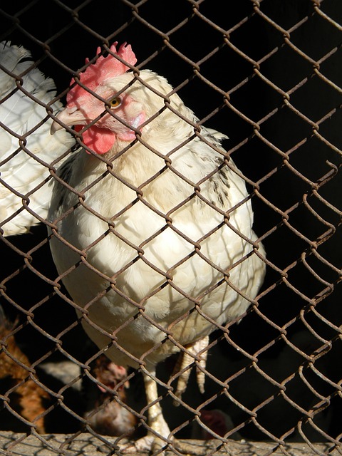 力和更快的 力和更快的