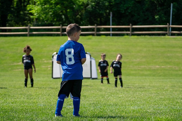 观众可以在 观众可以在