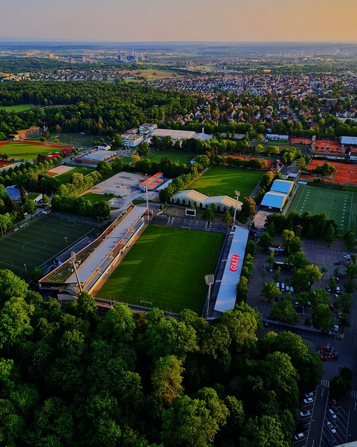 胜利做出了 胜利做出了