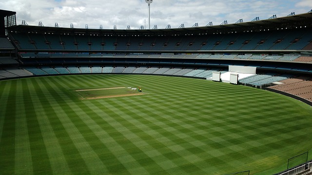 的比赛表现 的比赛表现