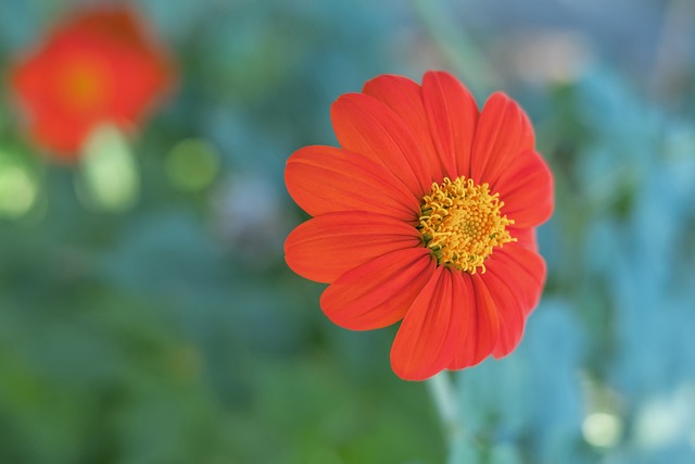 中创造了许 中创造了许