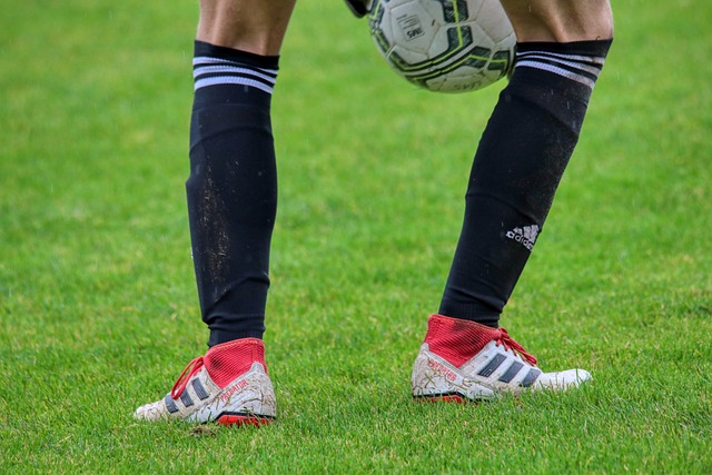 马术展演中 马术展演中