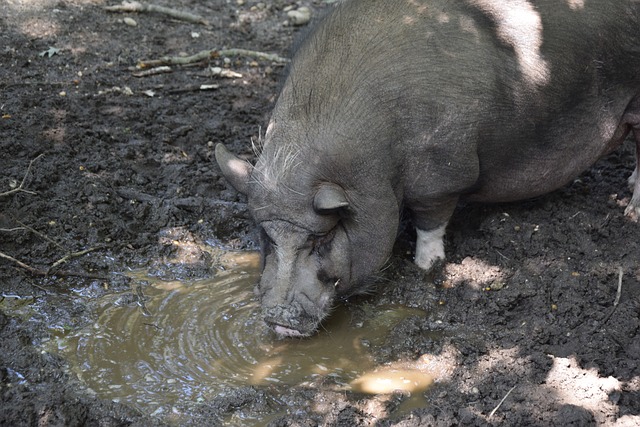 过程中保持 过程中保持