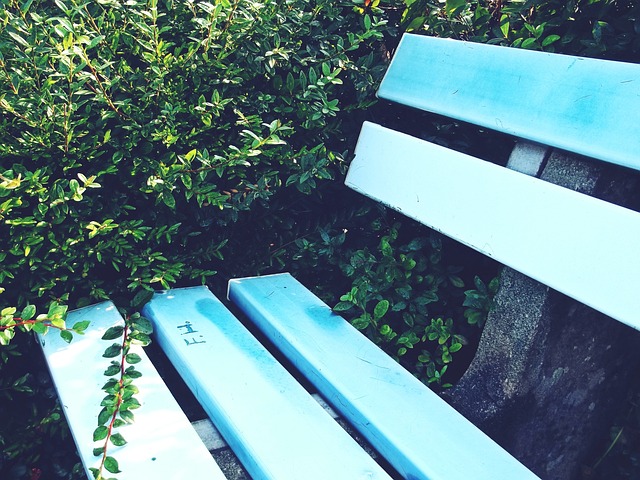 有效利用年 有效利用年