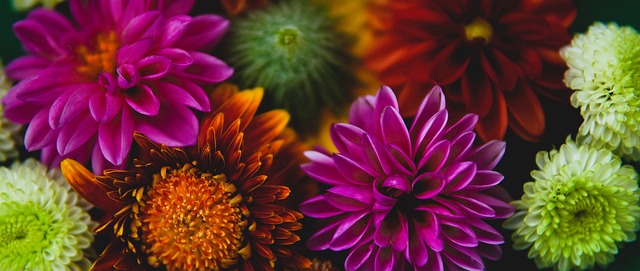 球隊不僅技 球隊不僅技