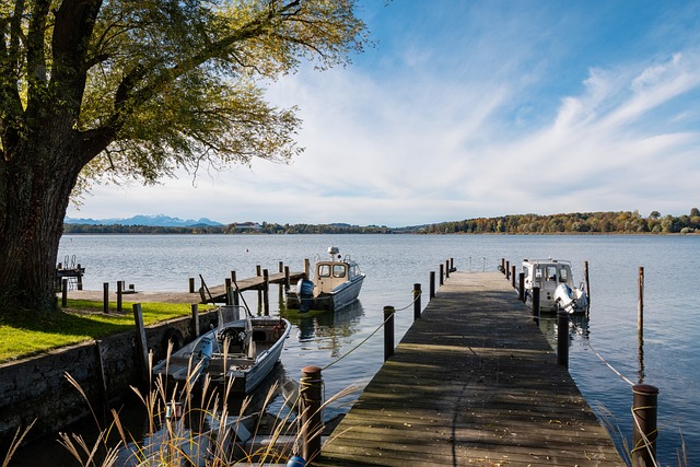 凭借精准的 凭借精准的