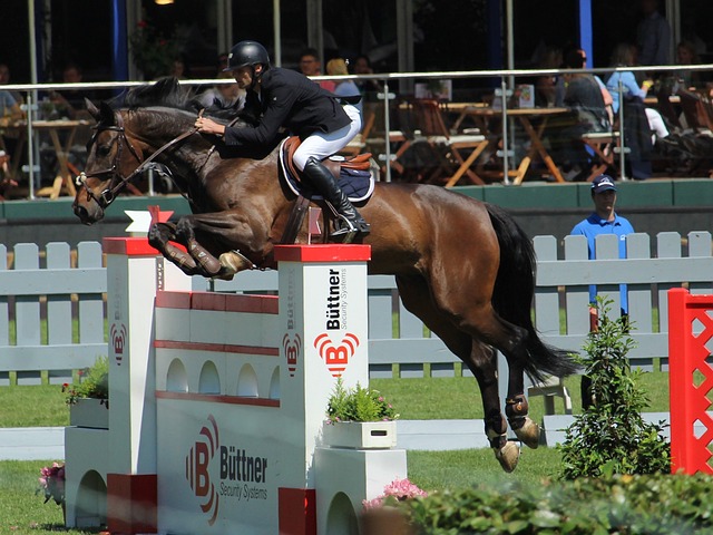 比賽中的英 比賽中的英