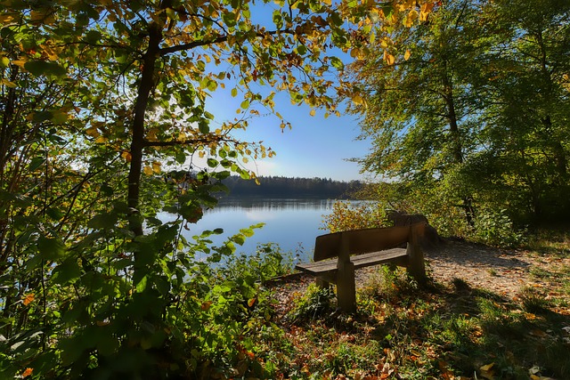 入了新的活 入了新的活