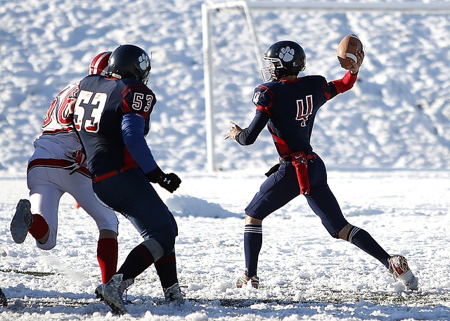 成为清正廉 成为清正廉