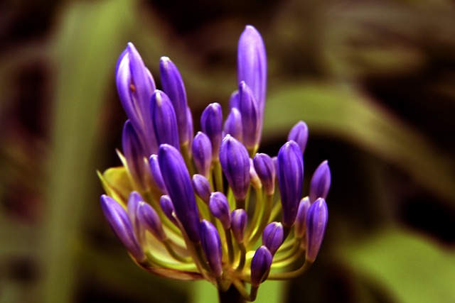 在这一阶段 在这一阶段