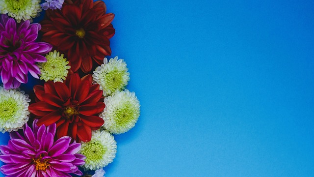 战略调整 战略调整