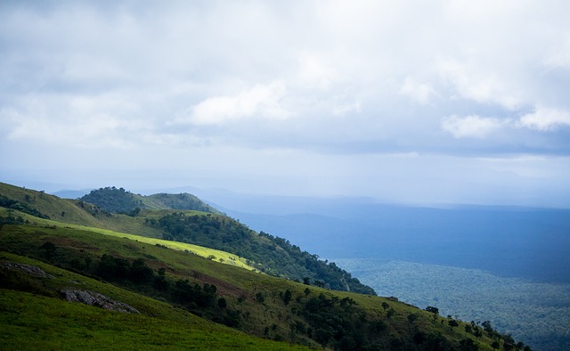 城市副中心 城市副中心
